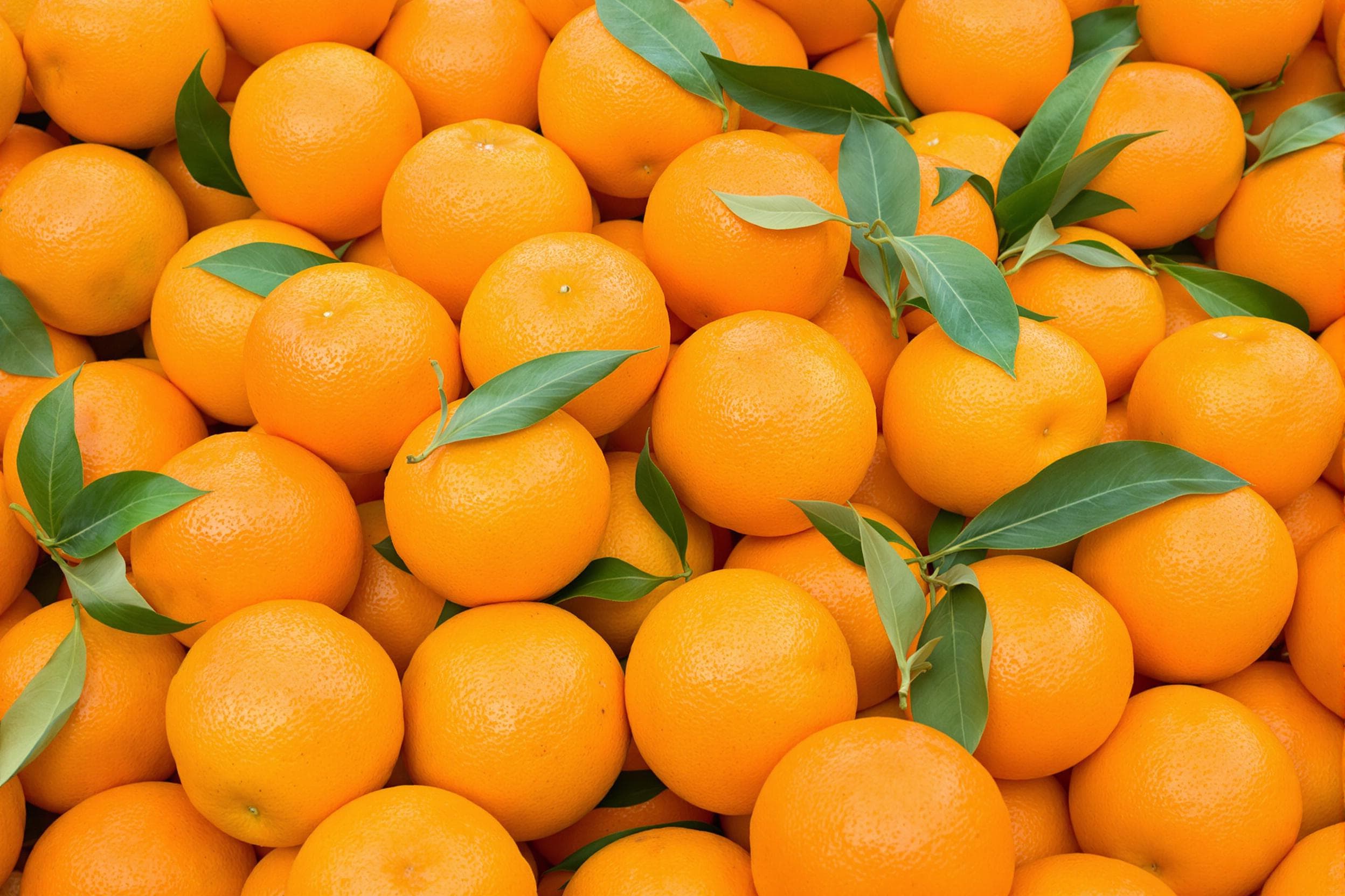 Vibrant Fresh Oranges Pile