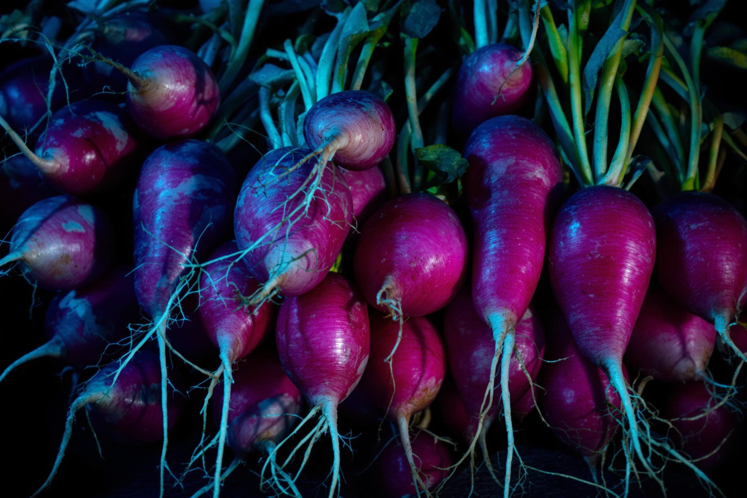 Surreal Radishes in Dramatic Light