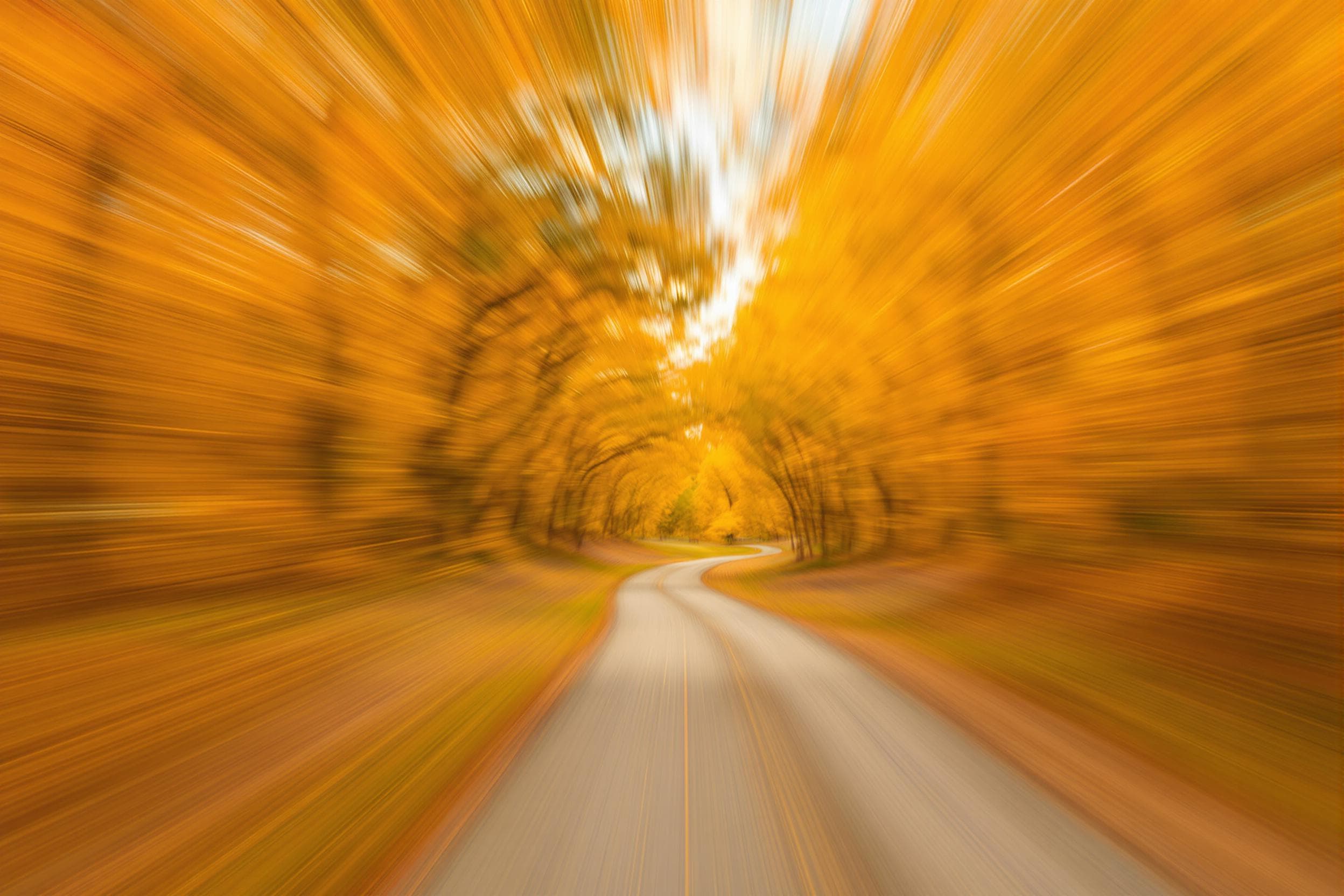 Ethereal Autumn Pathway
