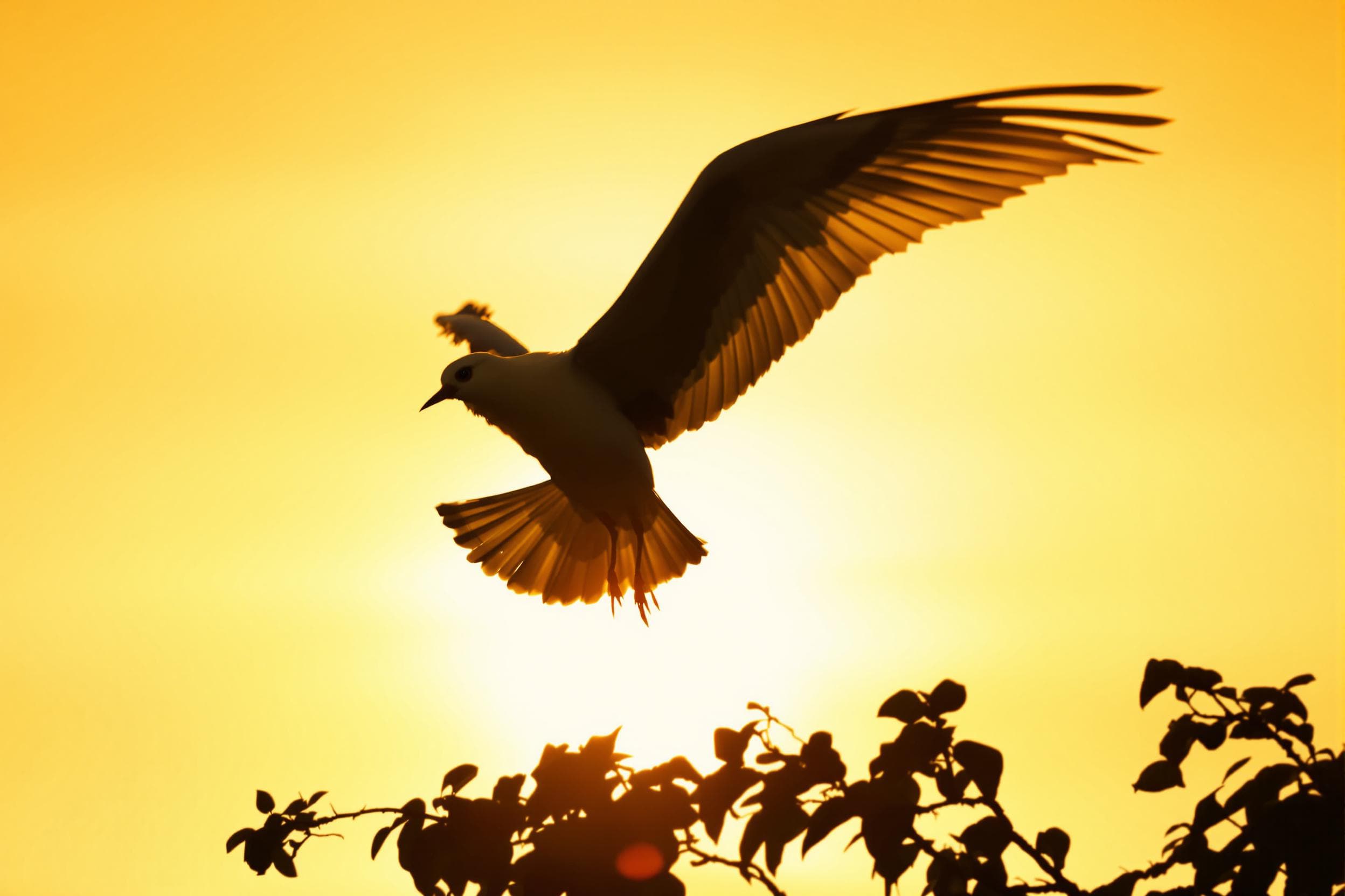 Bird in Graceful Flight at Sunset