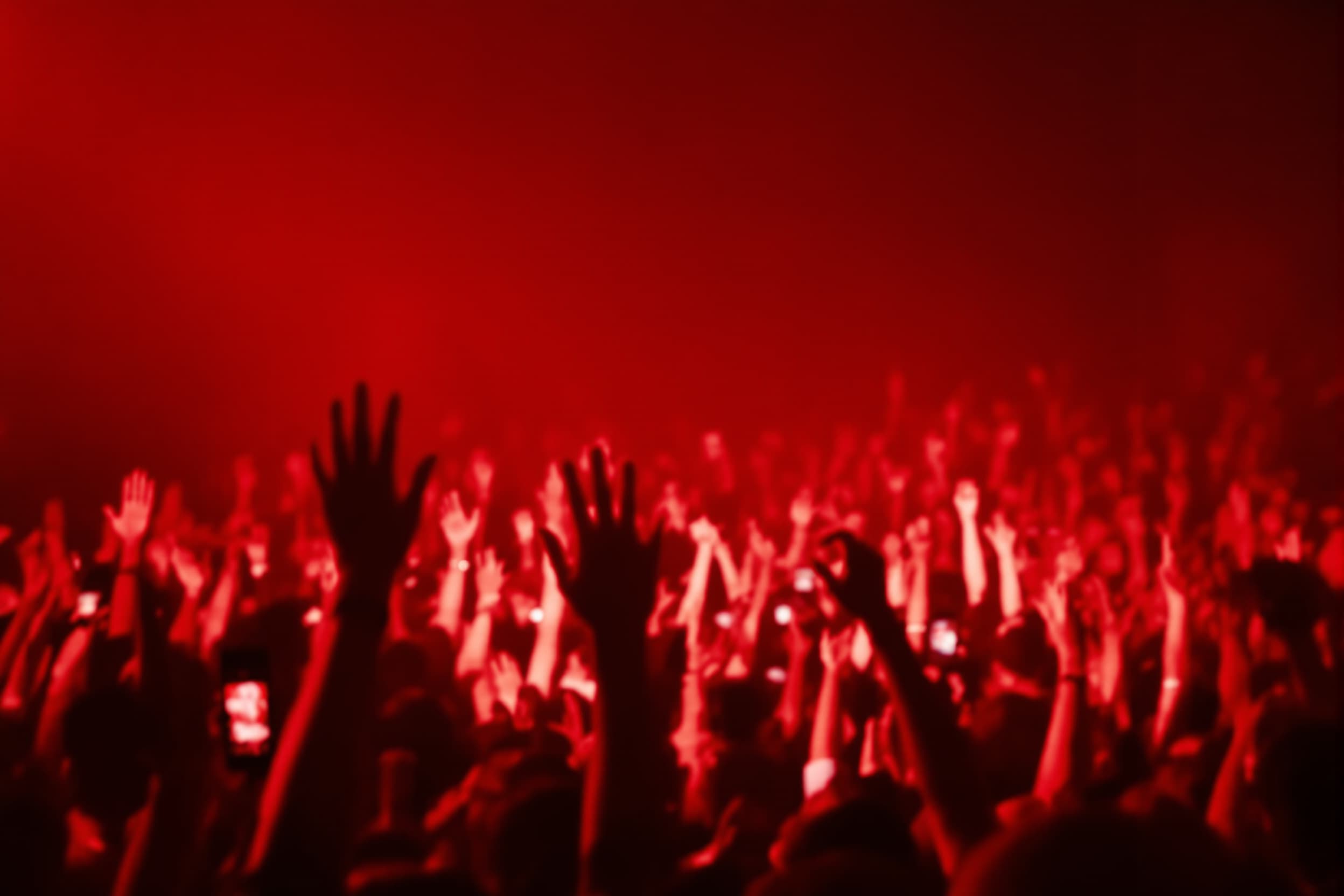 Euphoric Concert Crowd in Motion