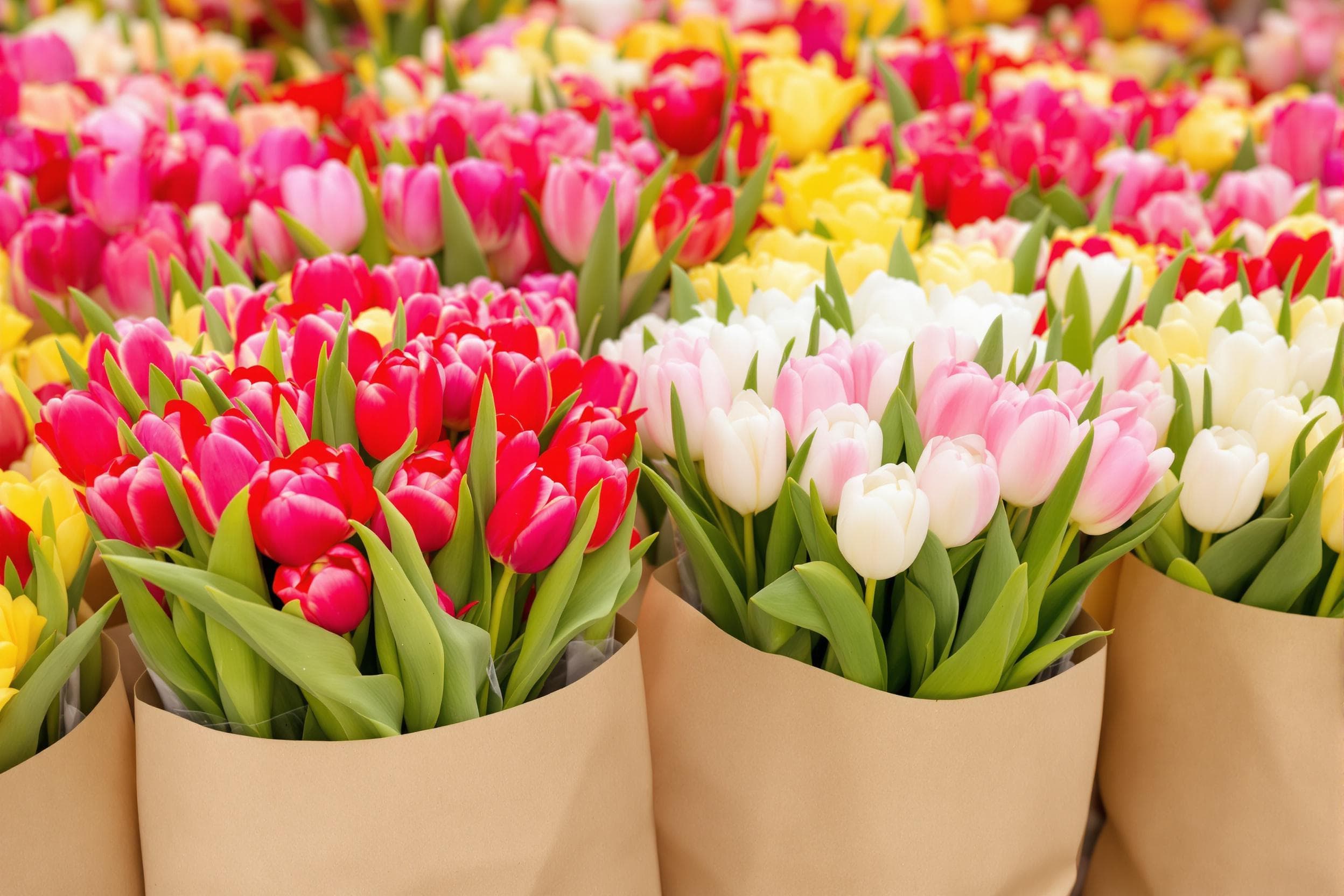 Spring Flowers in Paper Bags