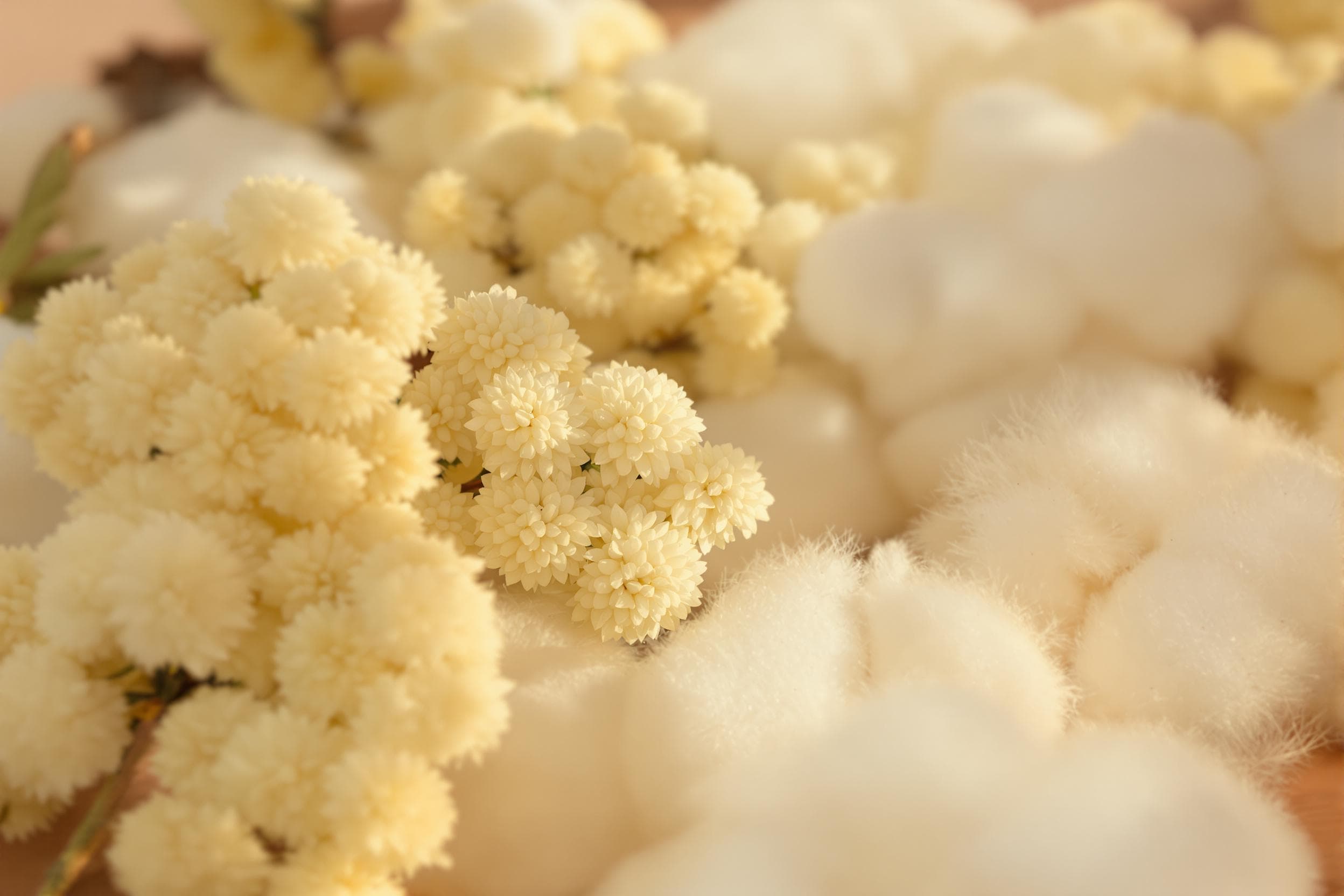 Dreamy Floral Textures in Warm Light