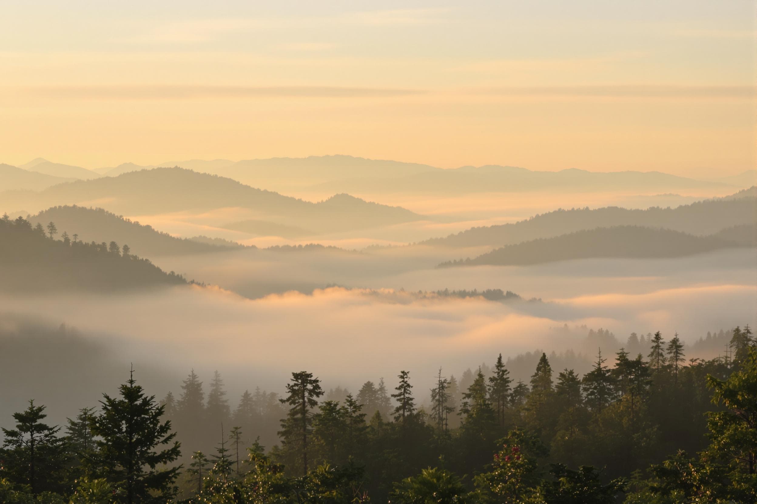 Tranquil Dawn in Mountainous Landscape