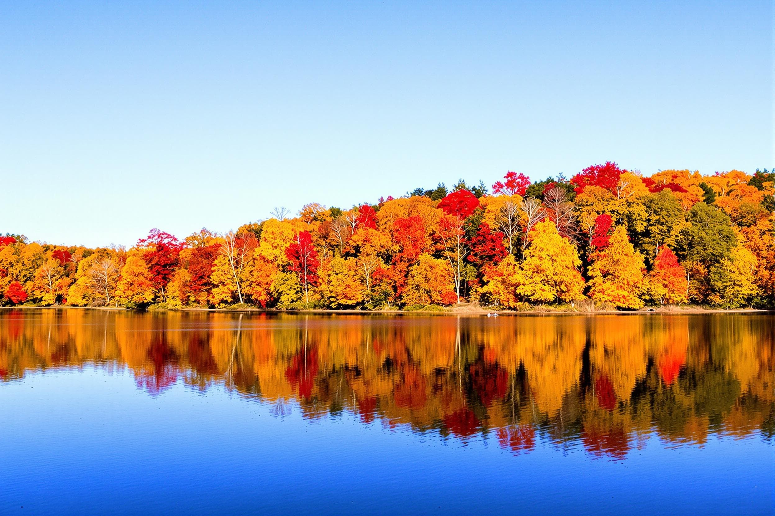 Tranquil Autumn Reflections