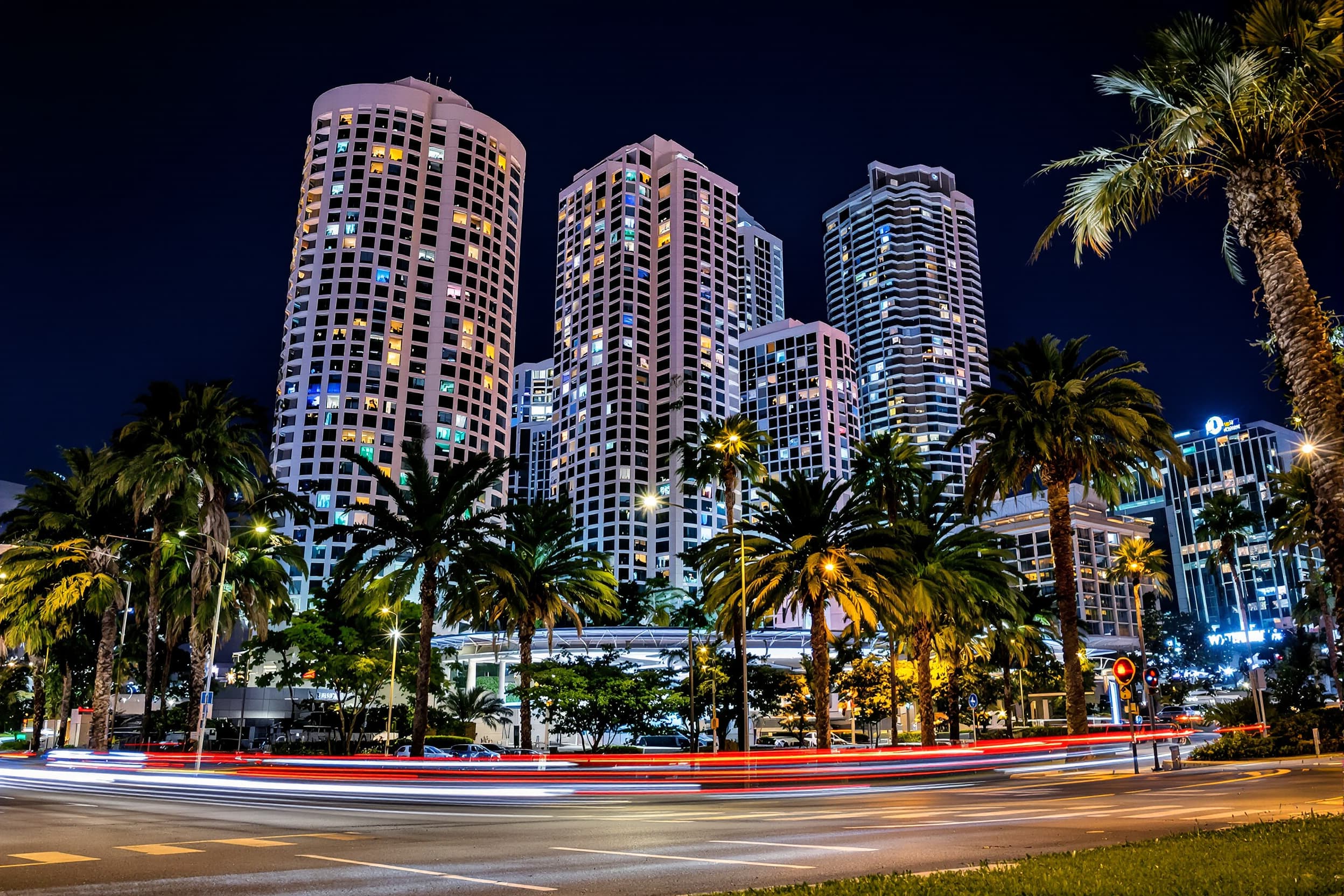 Urban Nightscape with Palm Trees