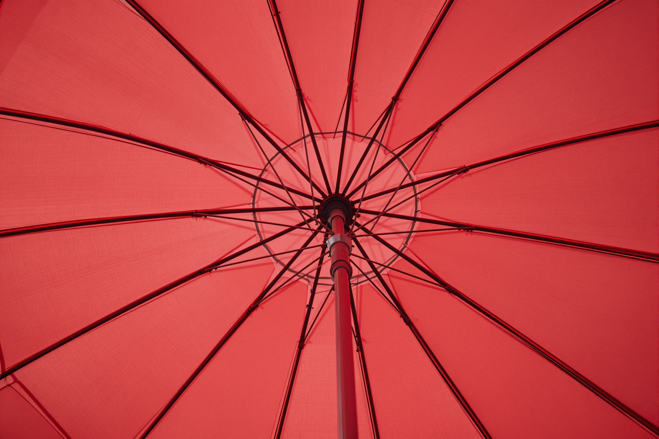 Elegant Red Umbrella Underneath View