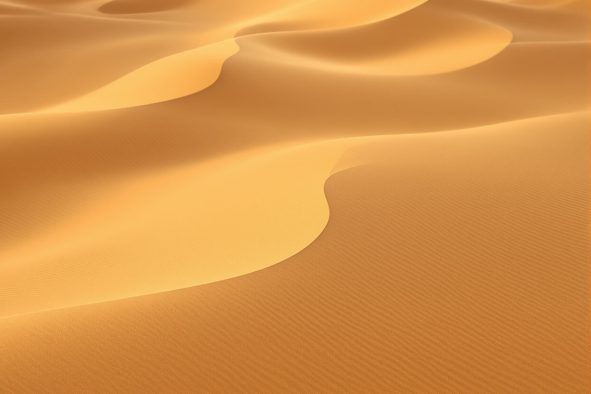 Serene Sand Dunes in Golden Light