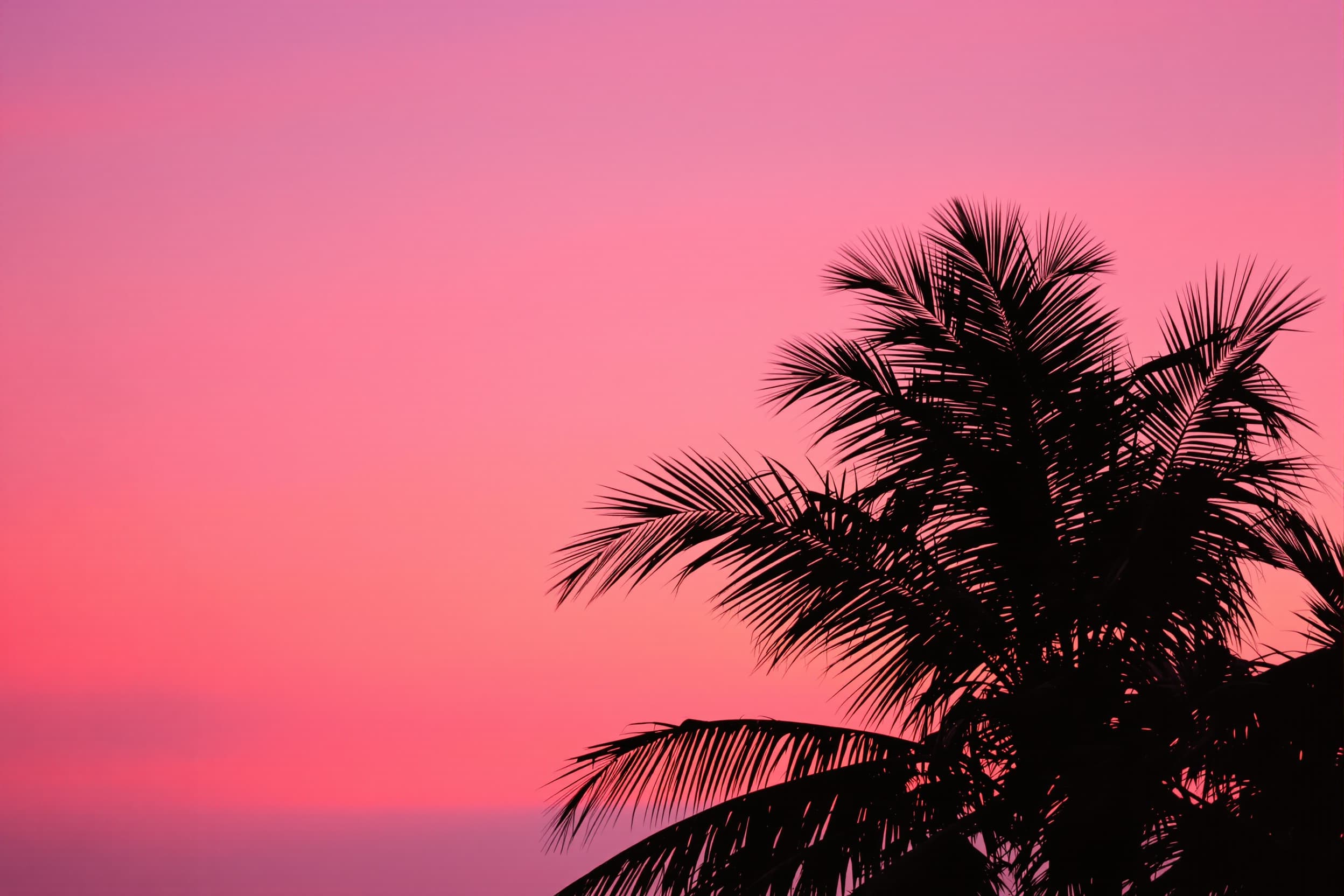 Serene Sunset Palm Silhouette