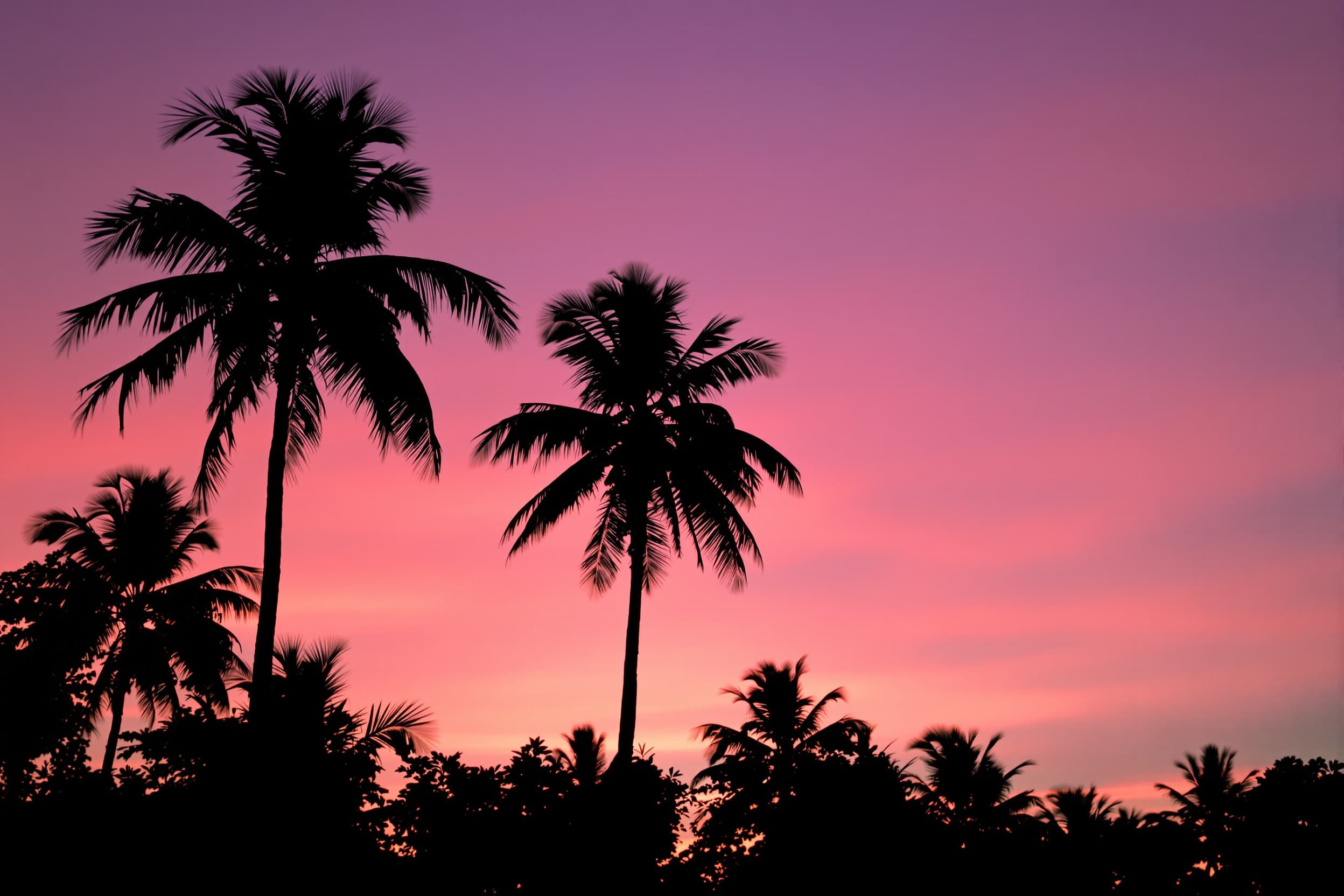 Tranquil Tropical Sunset Silhouette