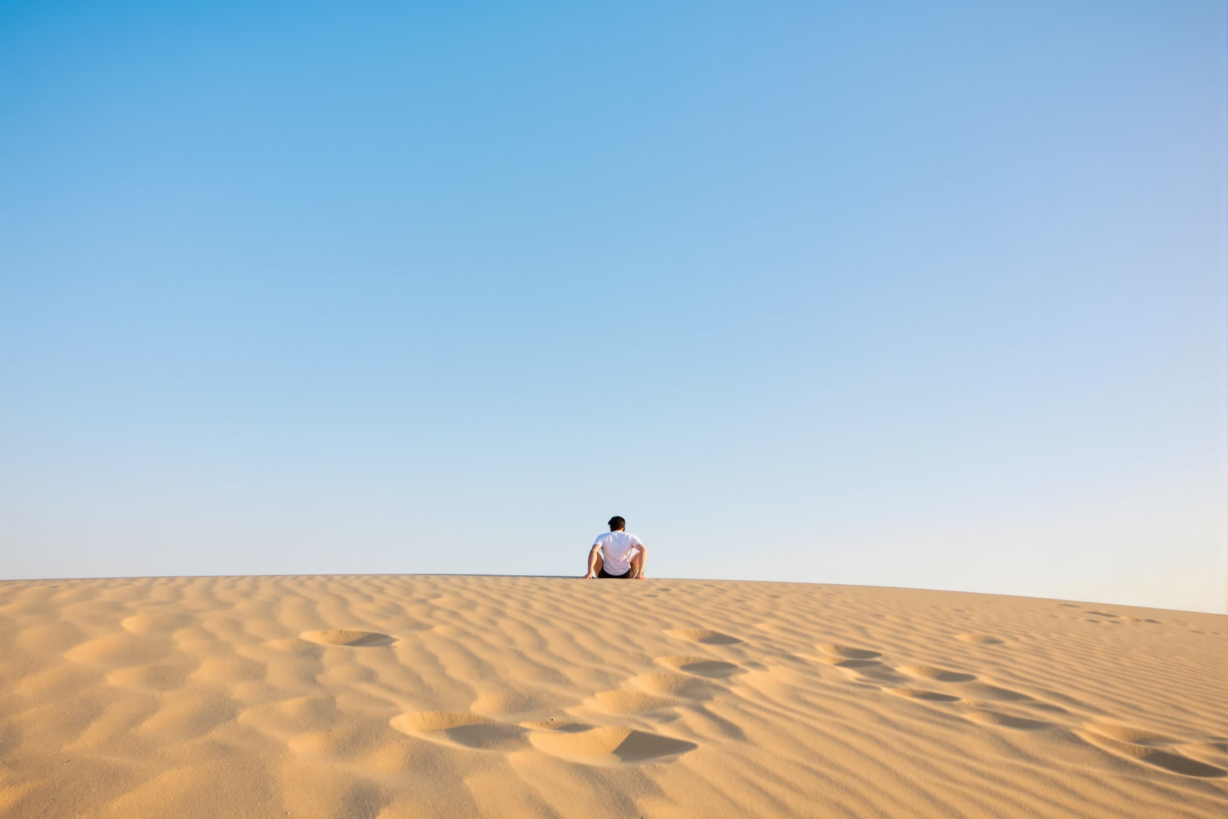 Contemplative Solitude on Desert Dune