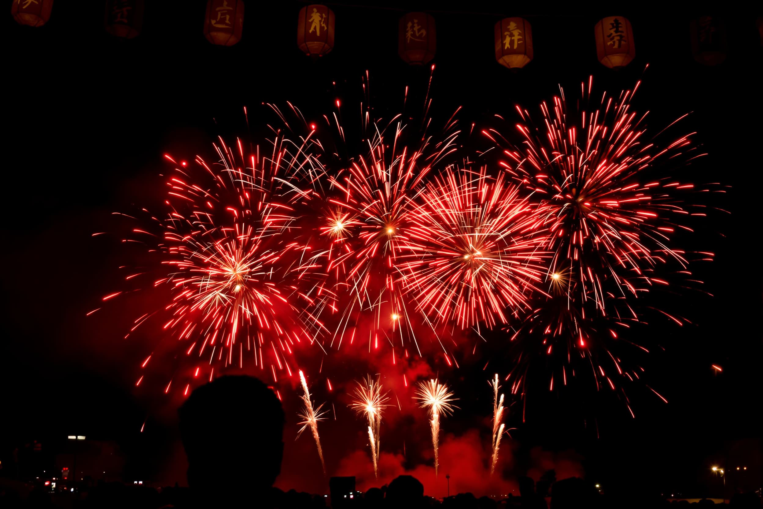 Vibrant Fireworks Display Overjoyed Audience